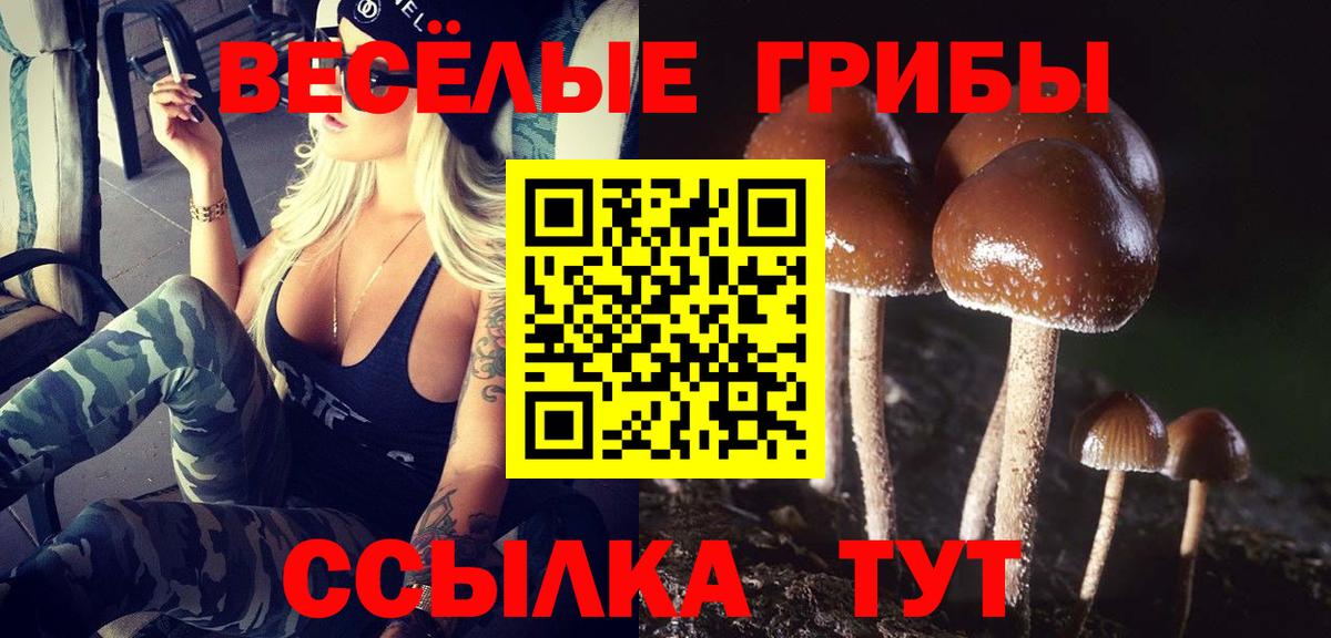 Кудрово  Галлюциногенные грибы мухоморы  Вход с VPN 